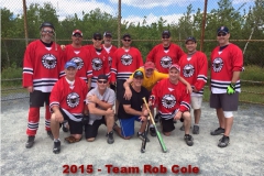 96_2015_TeamRob